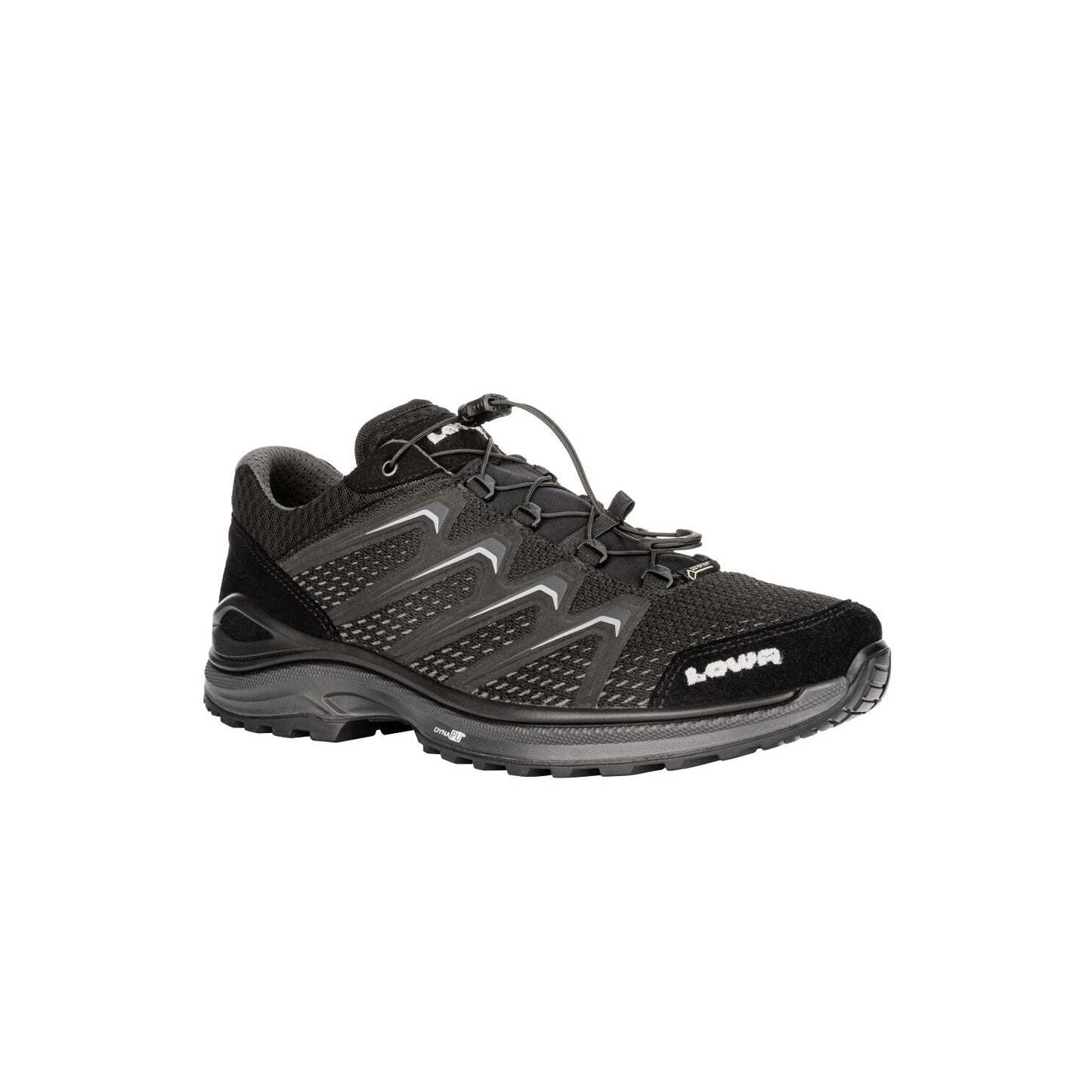 Кроссовки Lowa Maddox GTX LO Black