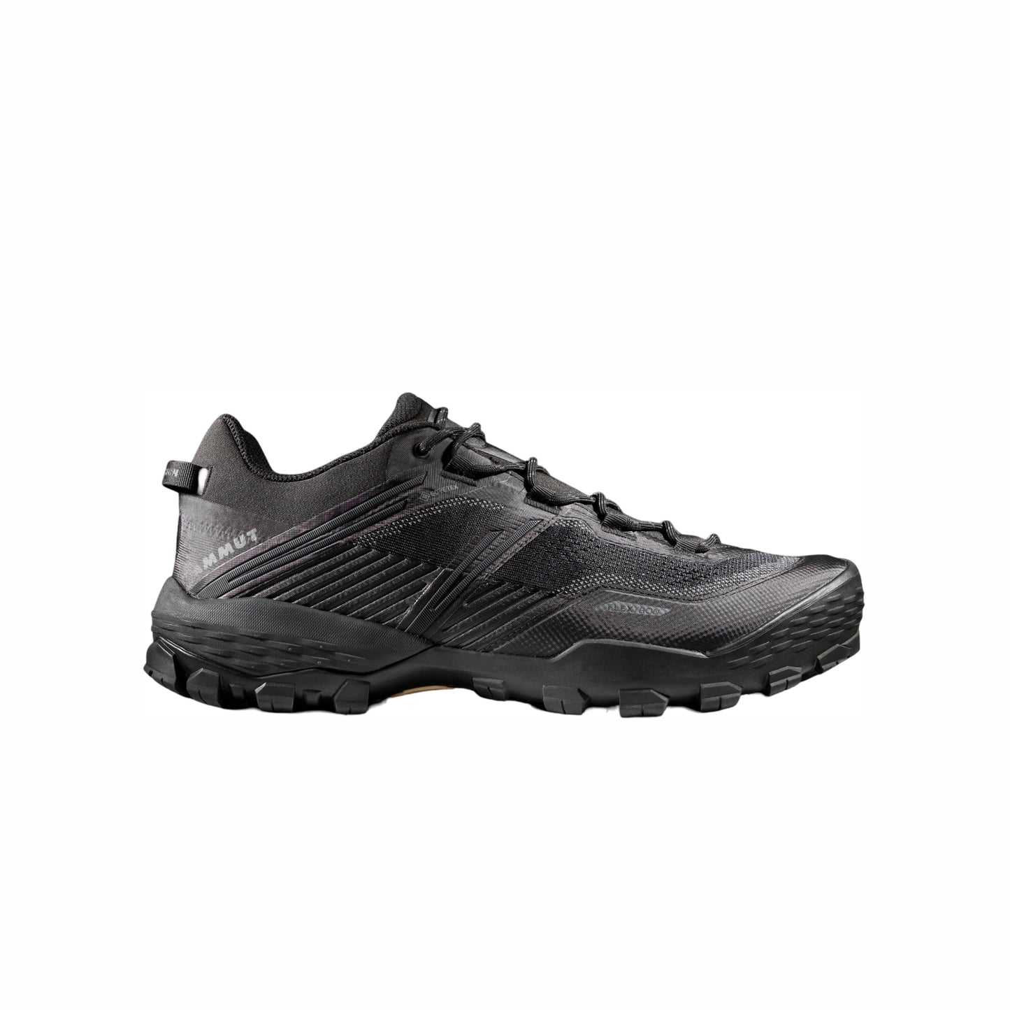 Кроссовки мужские Mammut Ducan II Low GTX Black