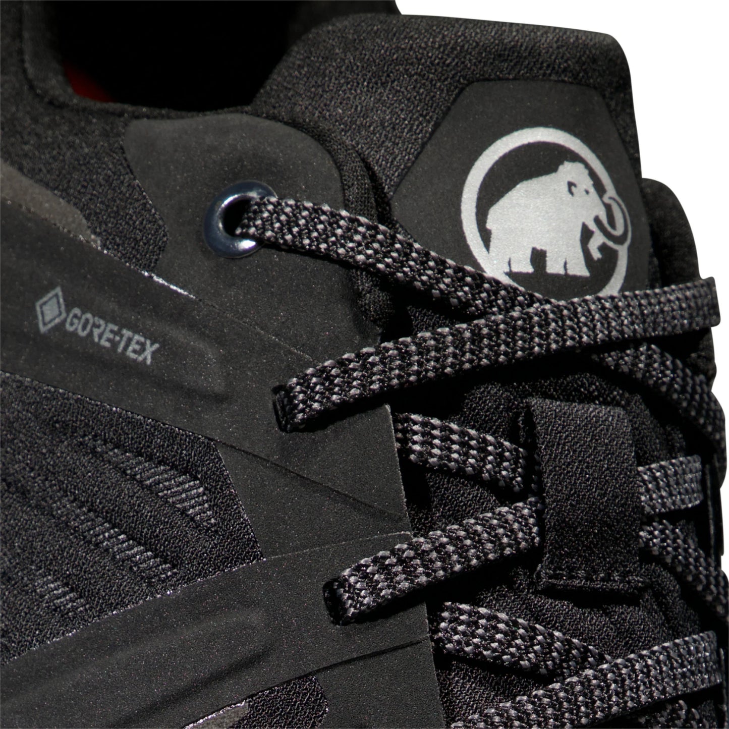 Кроссовки мужские Mammut Ultimate III Low GTX Black
